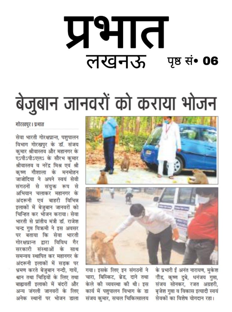 Seva Bharati Feeds Stray Animals During the Lockdown, Gorakhpur